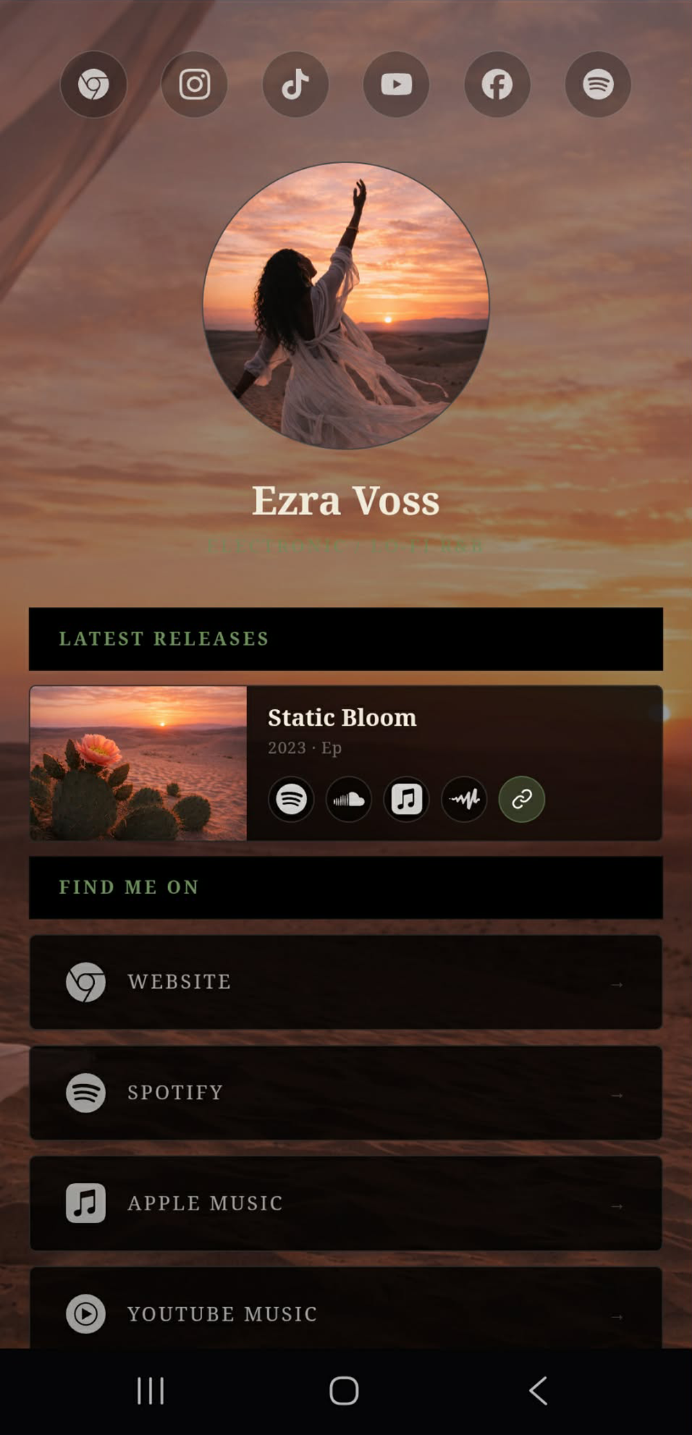 Artist Page